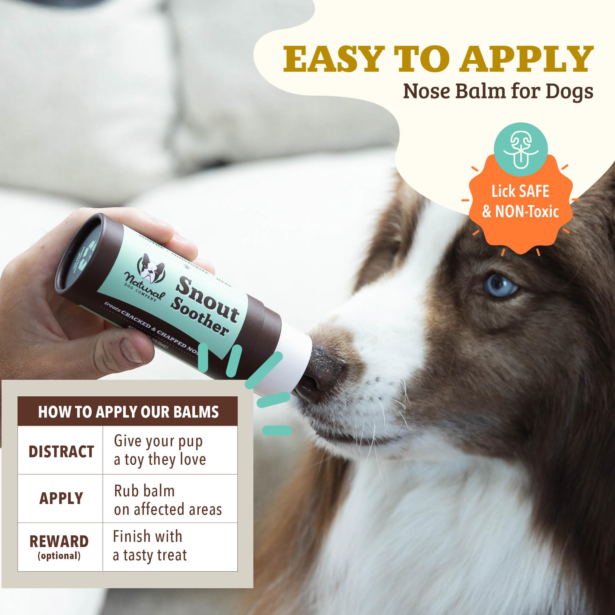 Natural Dog Company Snout Soother Balm – routine en deux étapes pour nez plus sain.