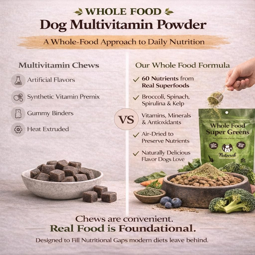 Natural Dog Company Super Greens, cuillère-poudre, ajout facile au repas.