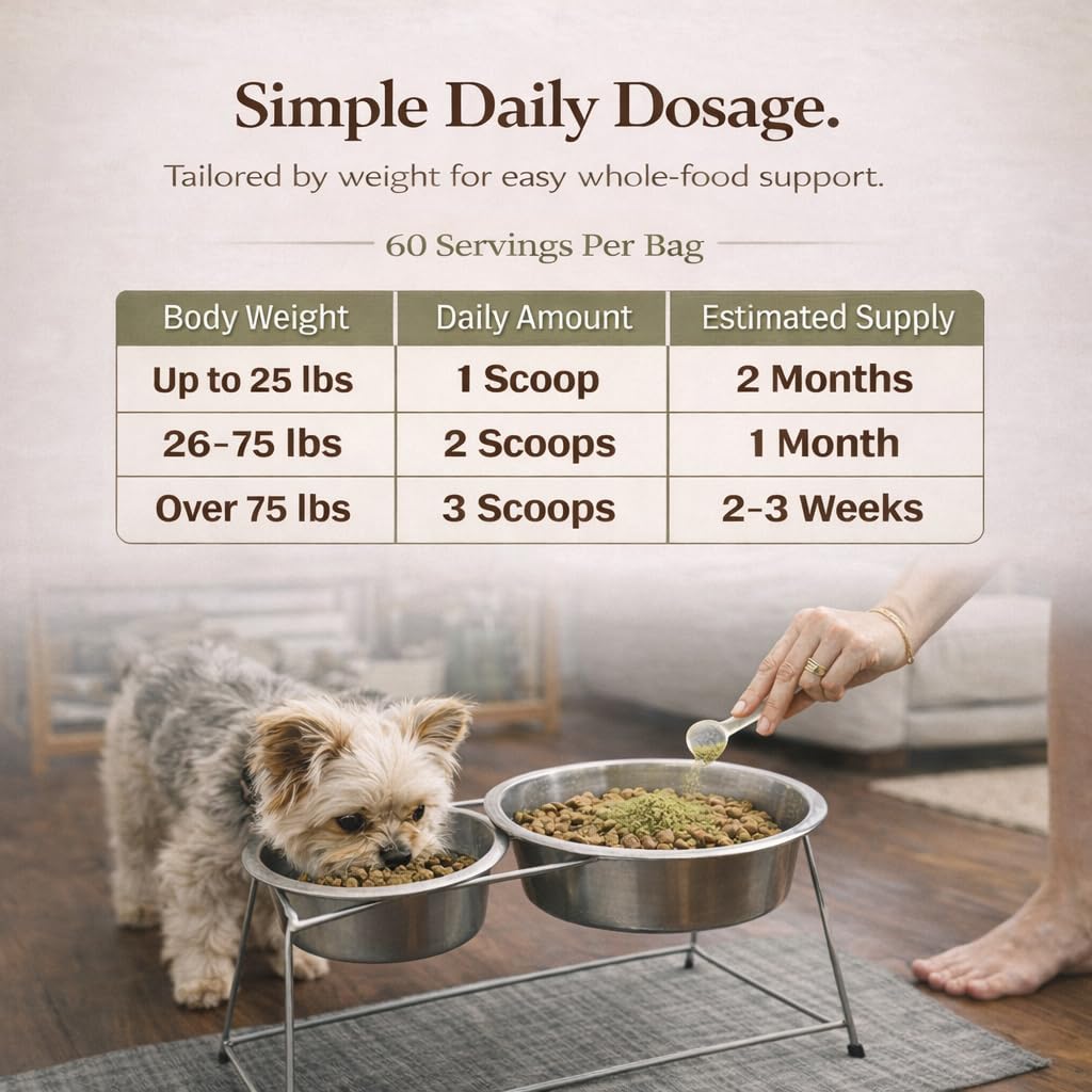 Natural Dog Company Super Greens, étiquette claire et informations de complément nutritionnel.
