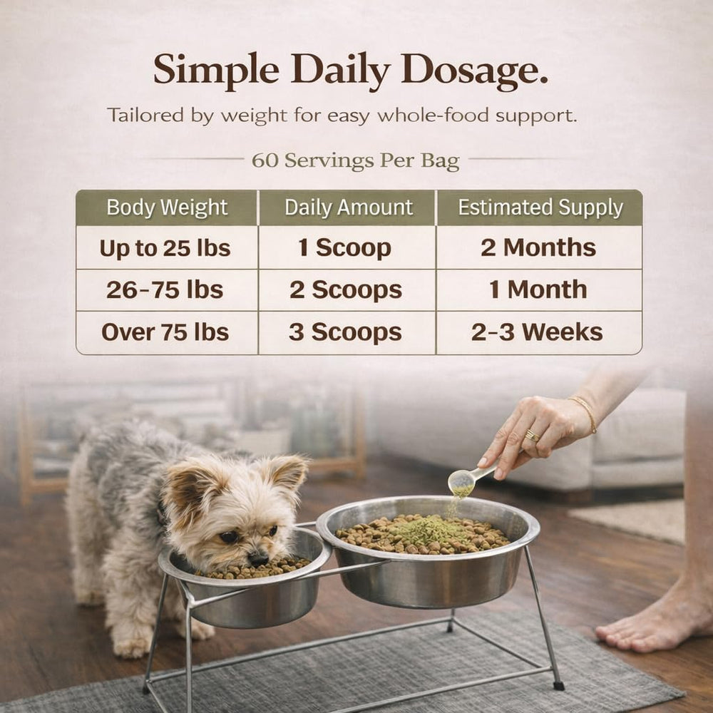Natural Dog Company Super Greens, étiquette claire et informations de complément nutritionnel.