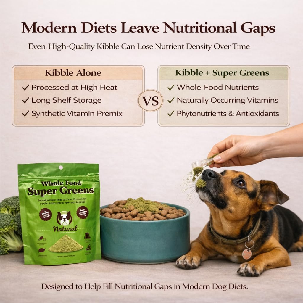 Natural Dog Company Super Greens, ingrédients naturels riches en antioxydants.