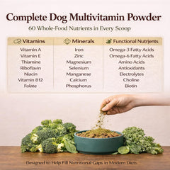 Natural Dog Company Super Greens, sachet réutilisable, option durable pour la nutrition.