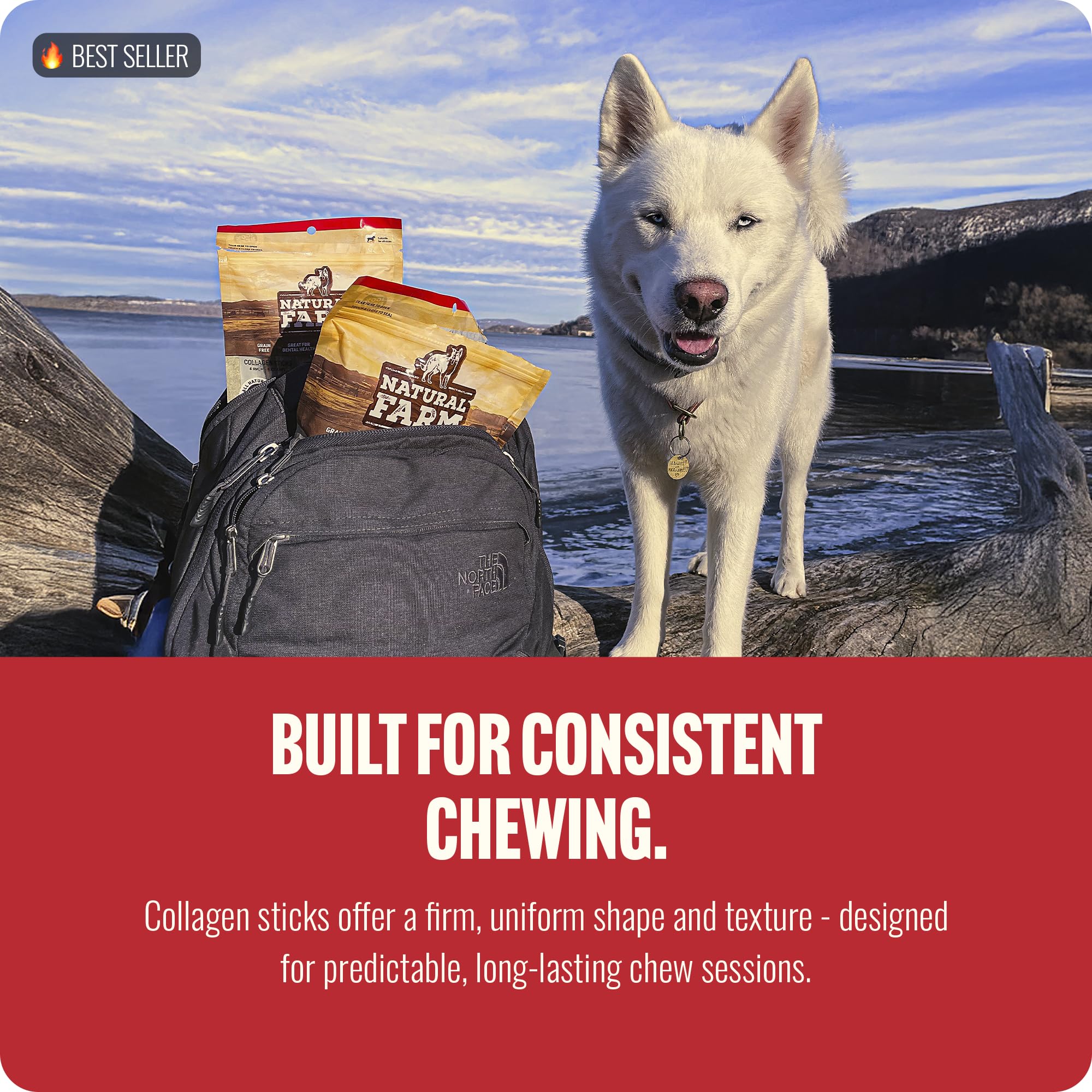 Natural Farm alternative au cuir brut sans odeur pour chien.