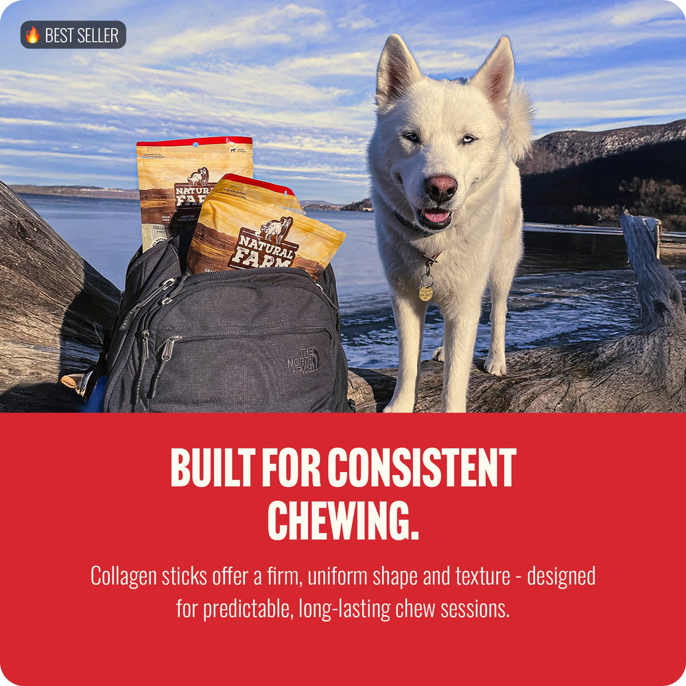 Natural Farm alternative au cuir brut sans odeur pour chien.