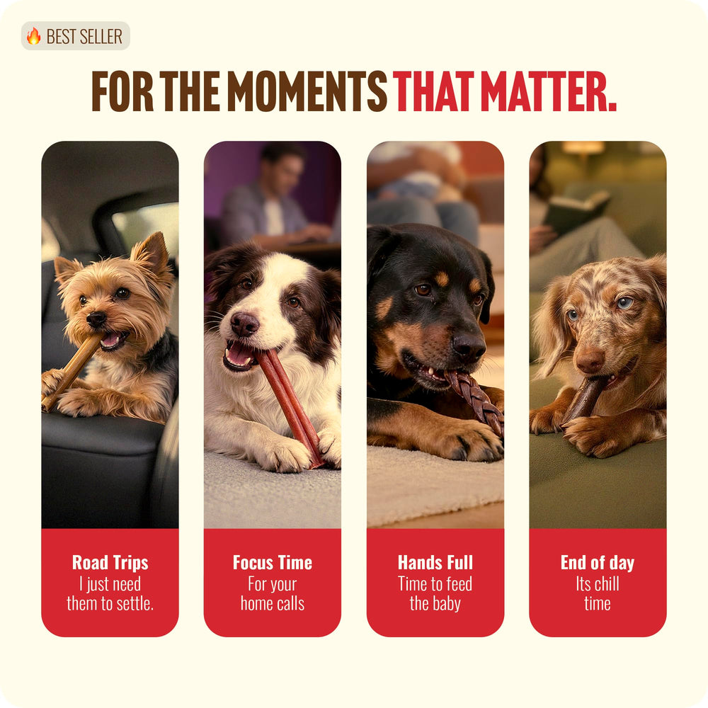 Natural Farm 95% collagène naturel, soutien peau et pelage potentiel.