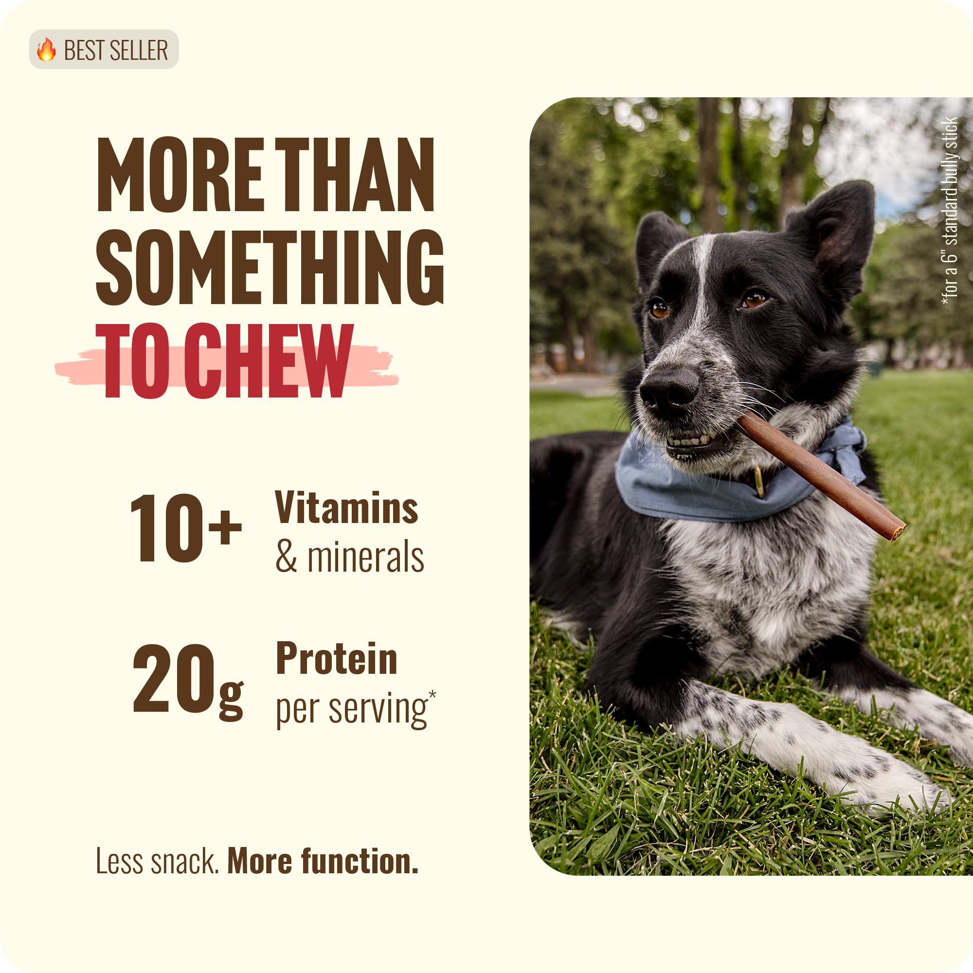 Natural Farm batonnet collagene soutien articulations pour chiens actifs.