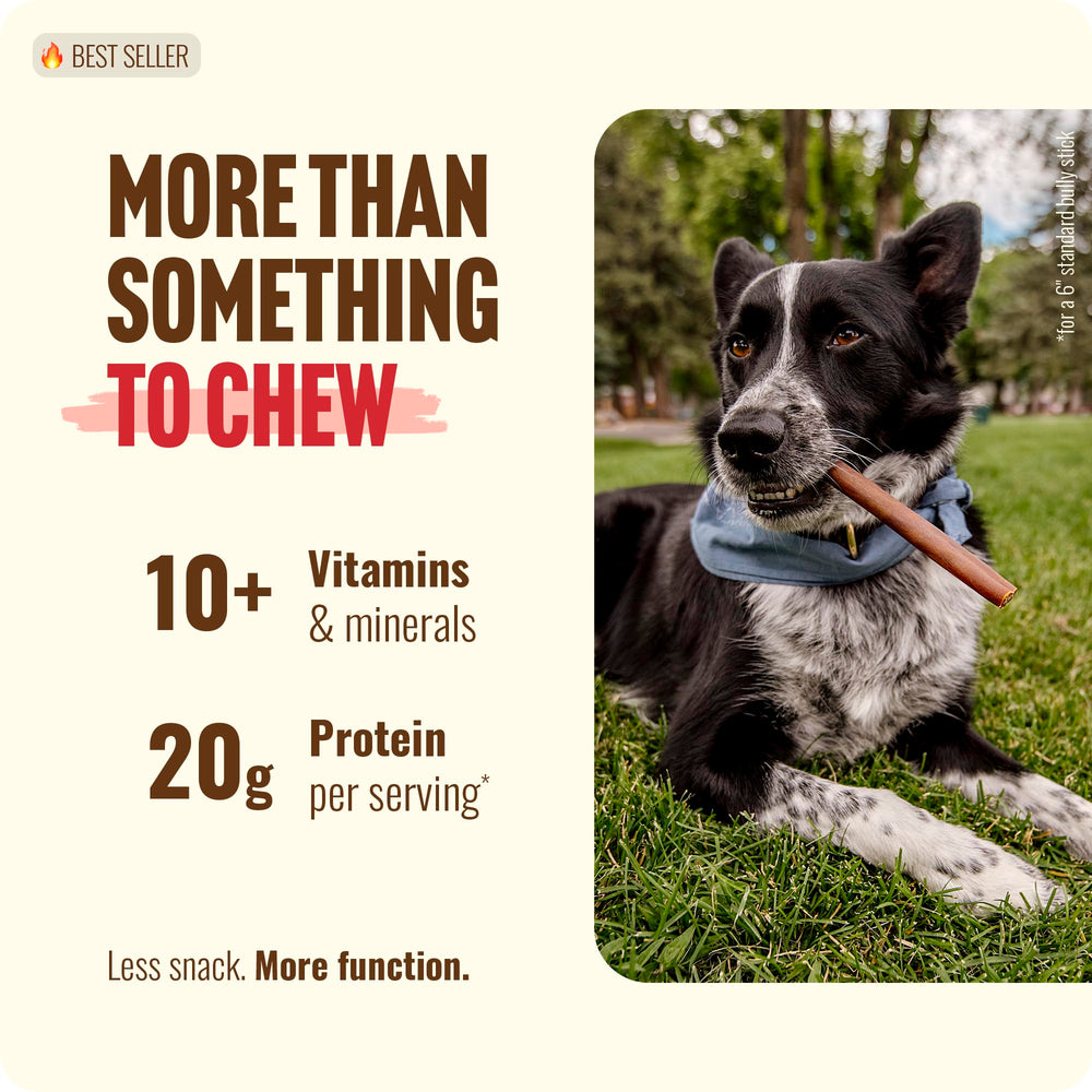 Natural Farm batonnet collagene soutien articulations pour chiens actifs.
