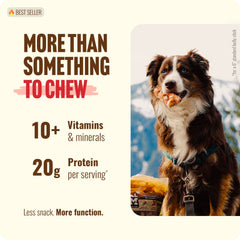 Natural Farm emballage 5 paquets os a macher sans odeur pratique pour chiens.