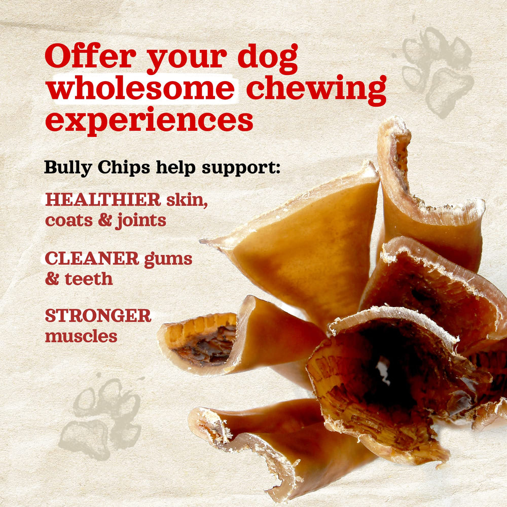 Natural Farm Bully Chips dentition saine : réduit potentielle plaque.