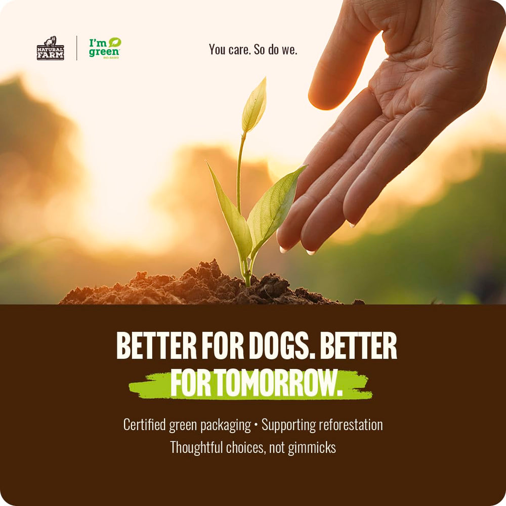 Chiens seniors appréciant Natural Farm Bully Sticks pour mastication.