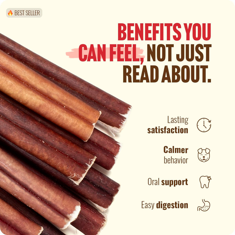 Soin dentaire lors du mâchage avec Natural Farm Bully Sticks.