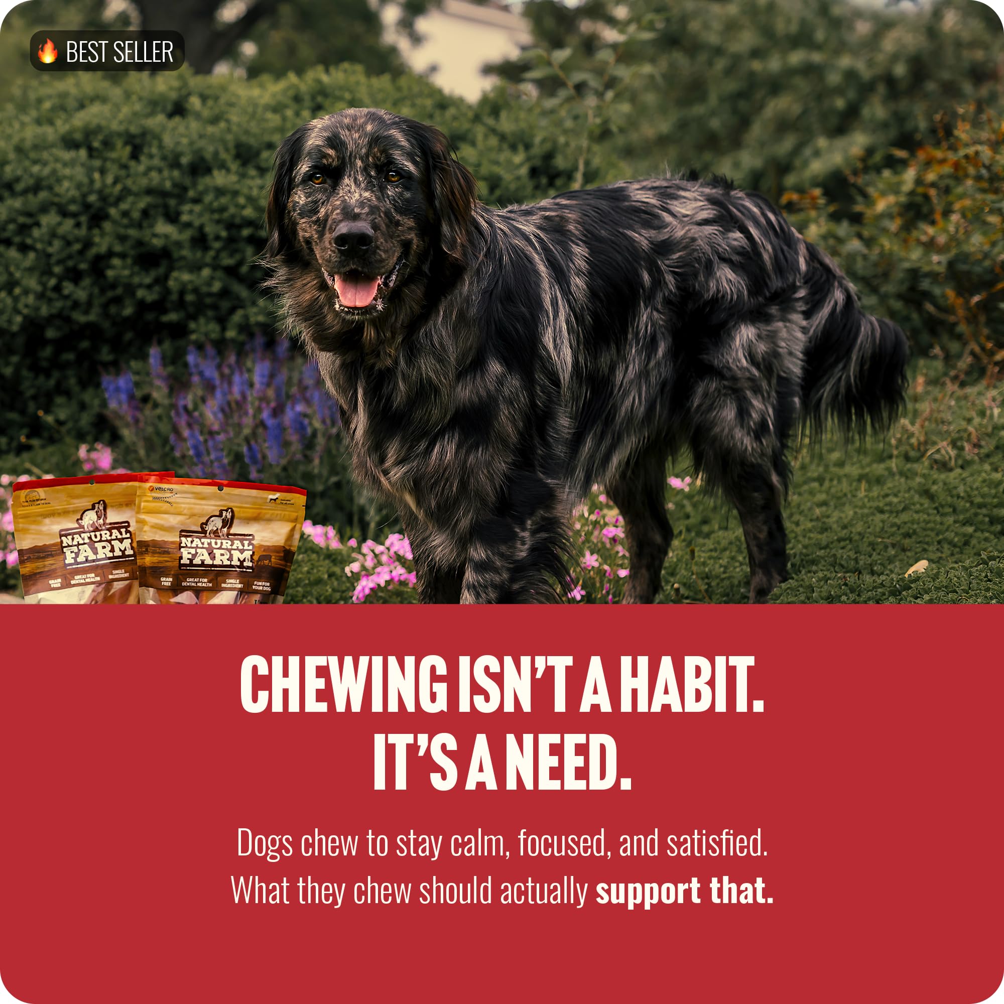 Natural Farm Bully Sticks gras nourri à l’herbe – option saine