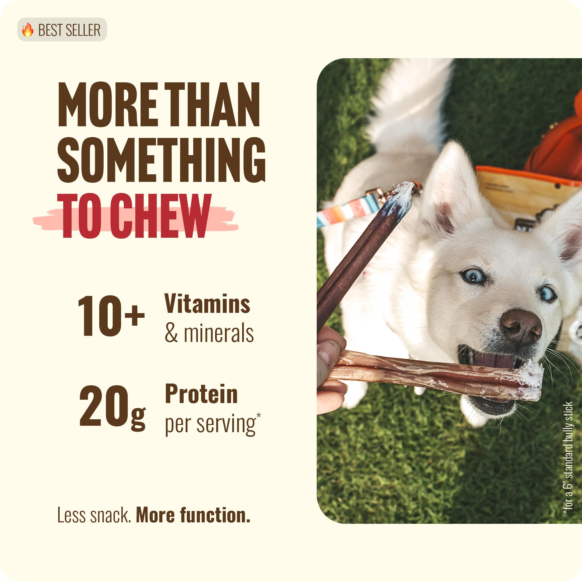 Paquet de Natural Farm Bully Sticks Sans Odeur de 1 livre pour divers chiens.