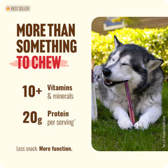 Natural Farm Bully Sticks sans odeur pour sessions de mastication plus calmes.