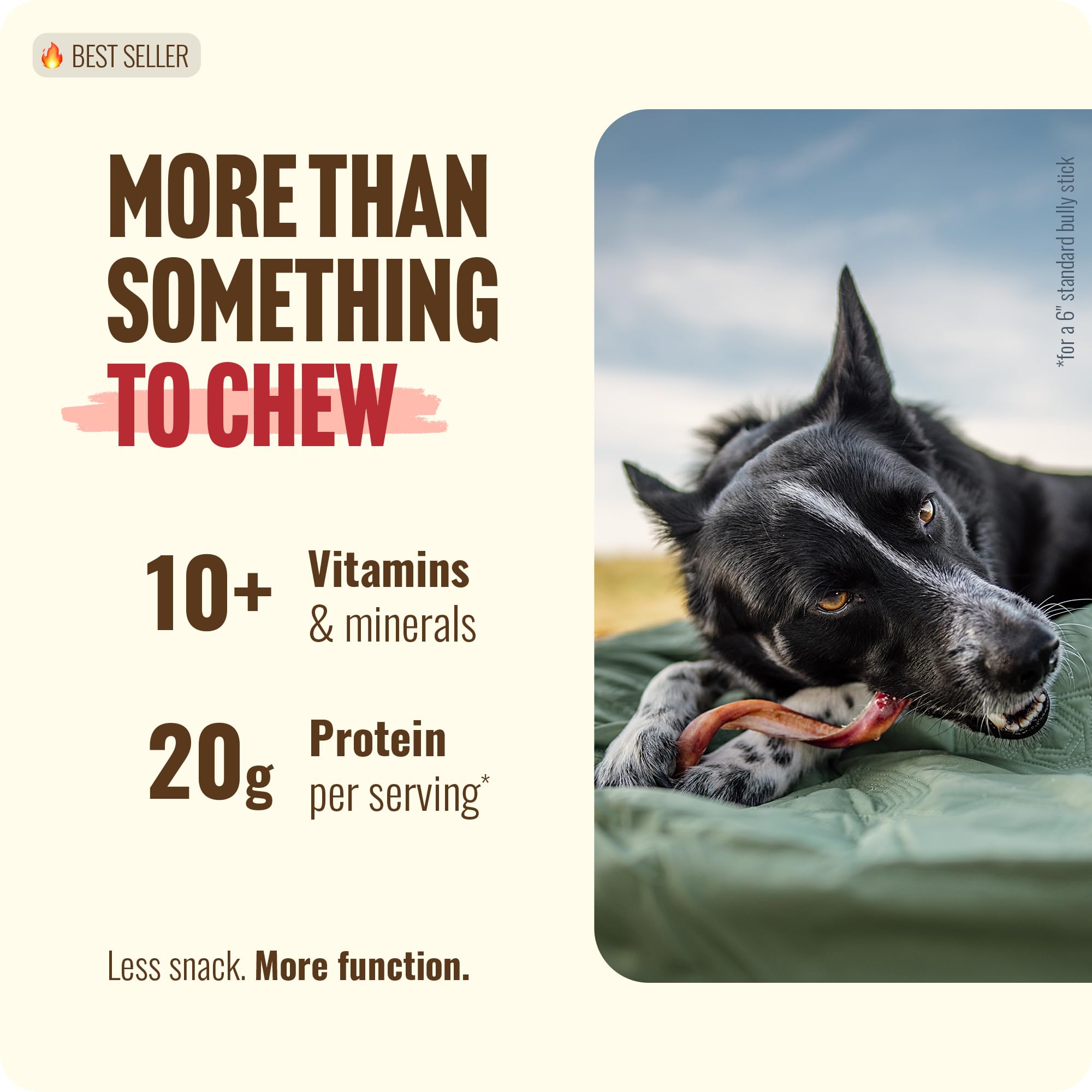 Natural Farm bully sticks torsadés 5–6 pouces, texture résistante pour l’engagement prolongé.