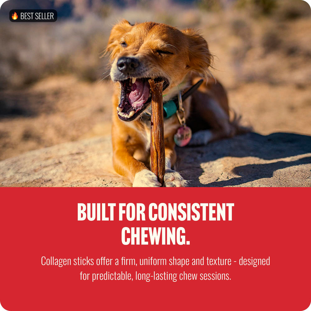 Natural Farm Collagen Sticks sans odeur pour chiens sensibles
