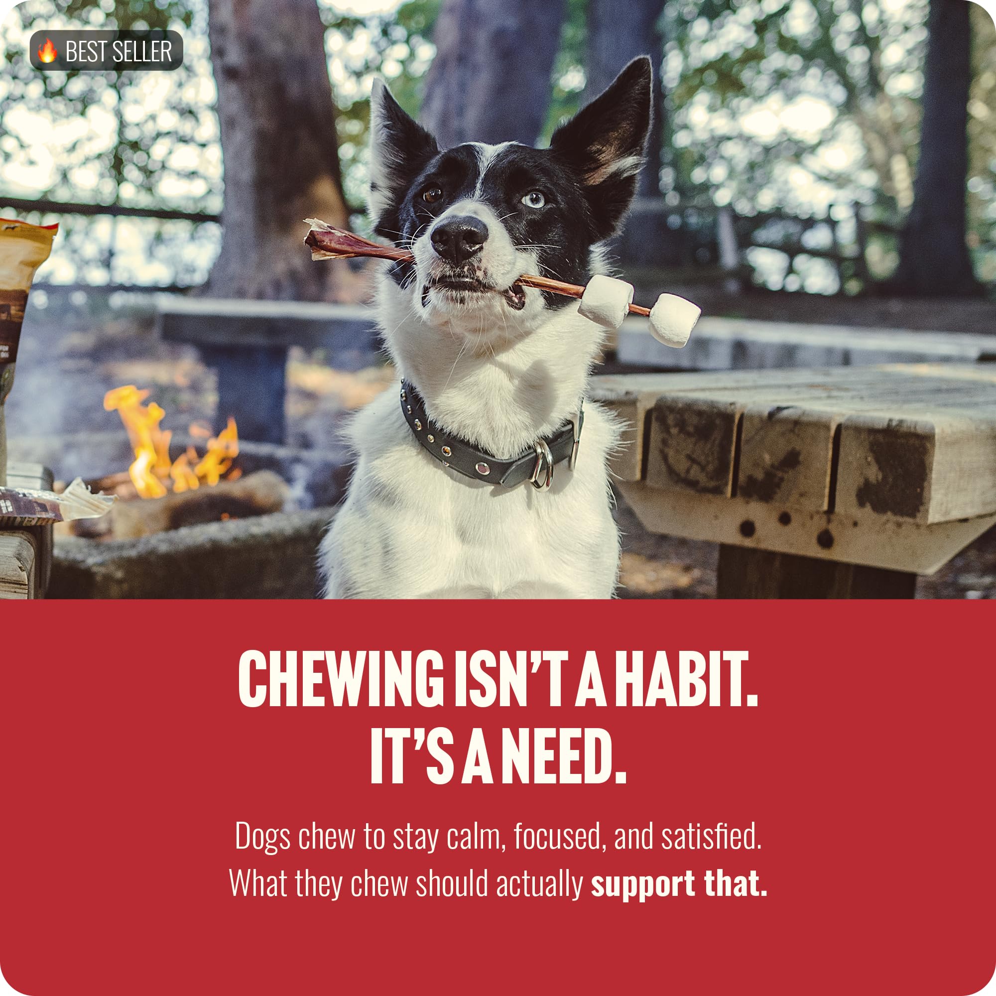 Natural Farm friandise sans cereales pour petits chiens et chiots.