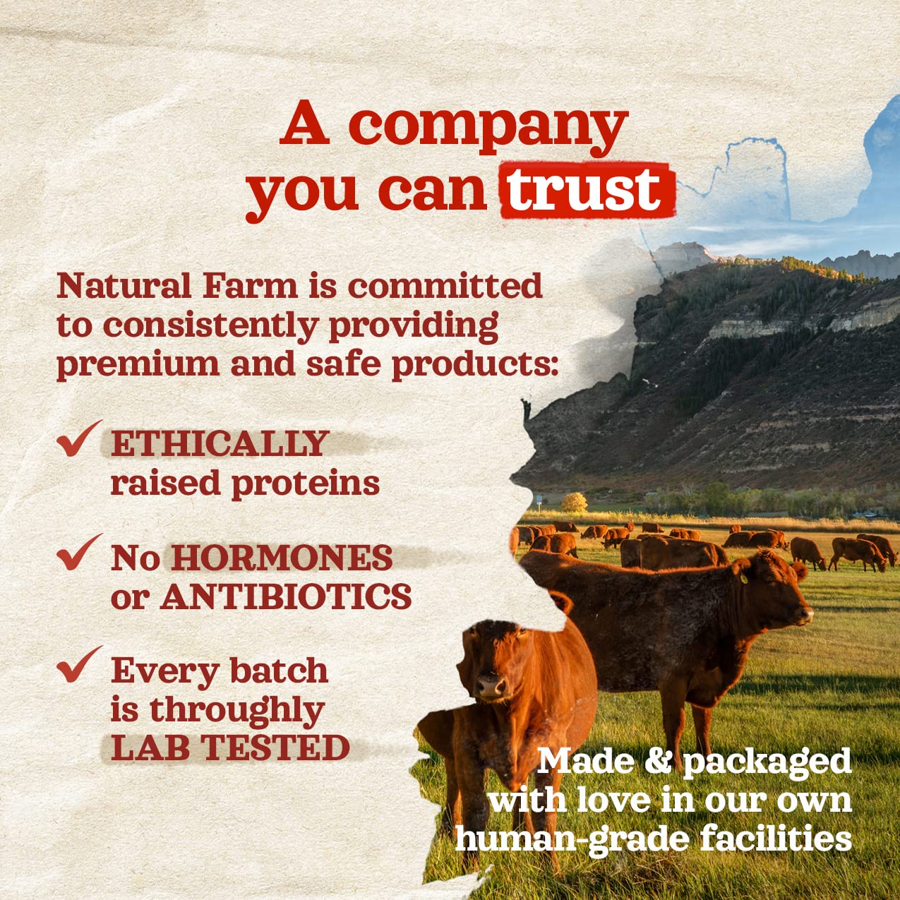 Natural Farm Oreilles de porc – convient à chiots et chiens grands et petits