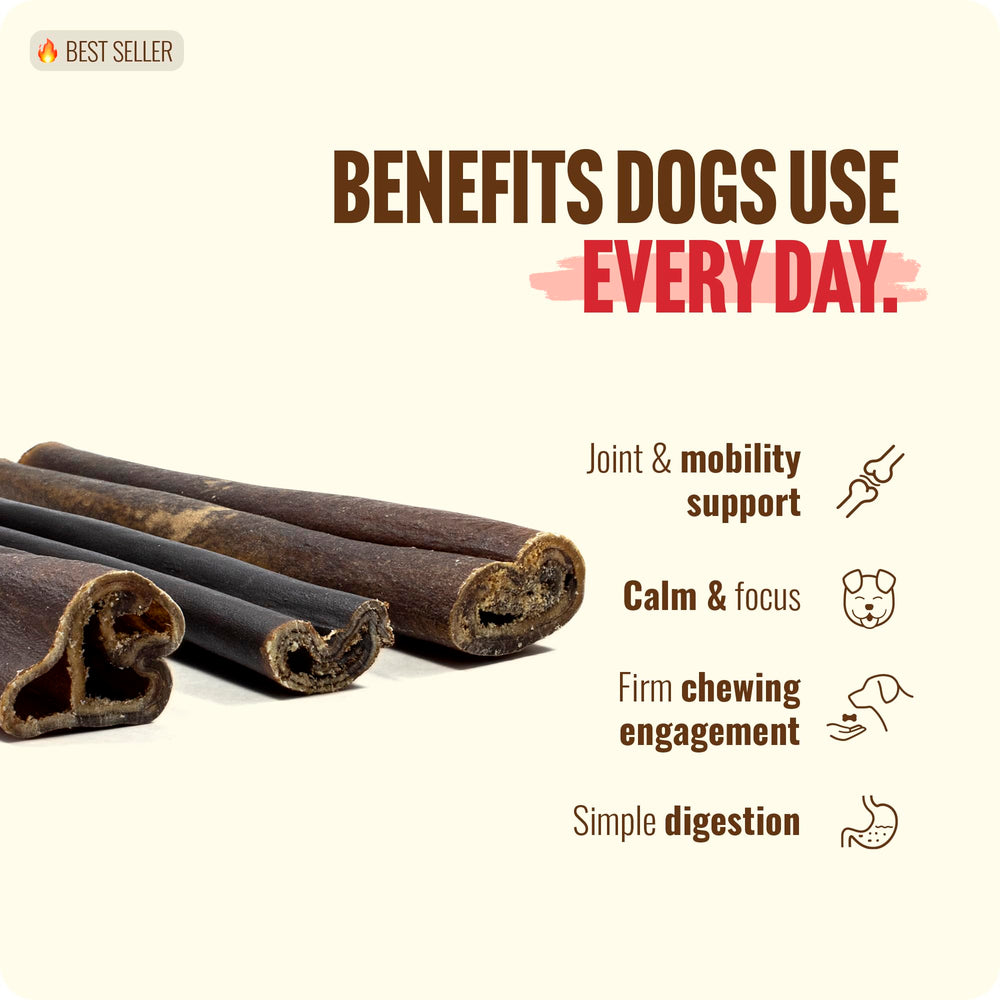 Natural Farm sans hormones antibiotiques ogm, friandise canine responsable.