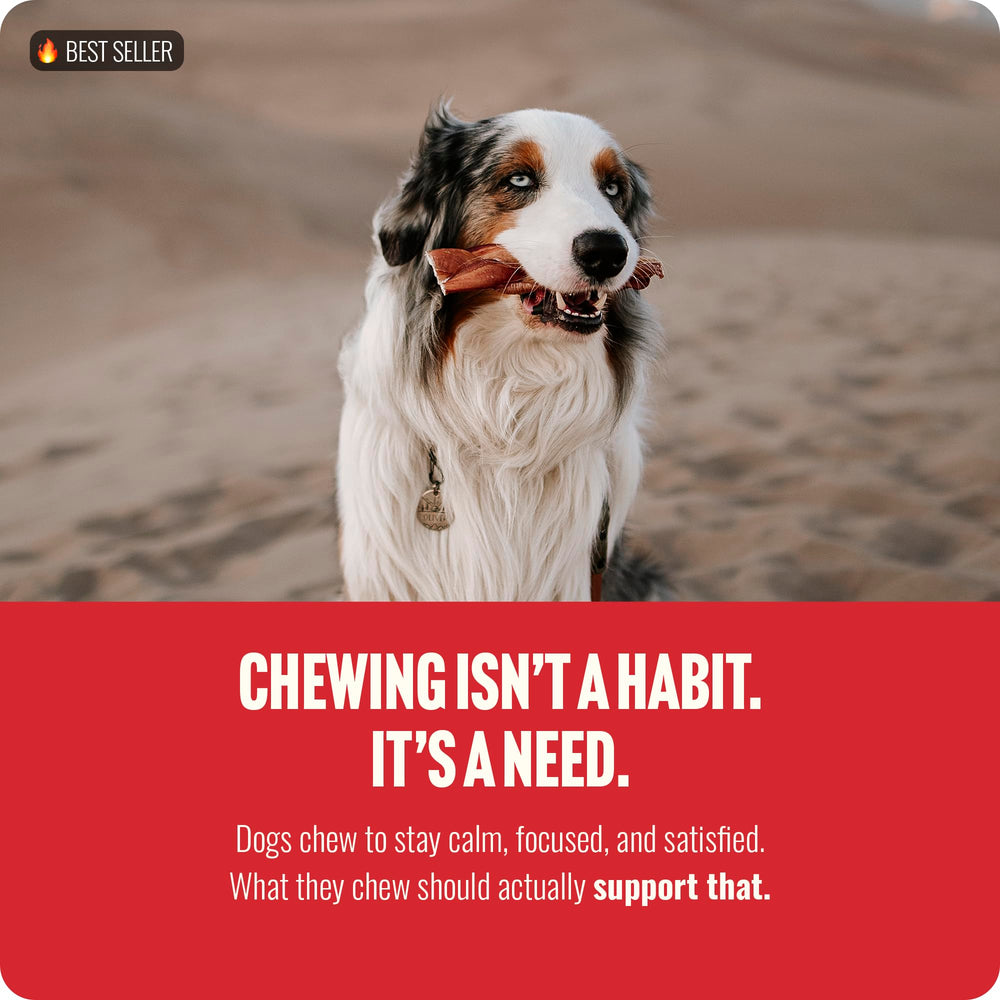 Natural Farm soutien dentaire potentiel grace a la mastication chez le chien.