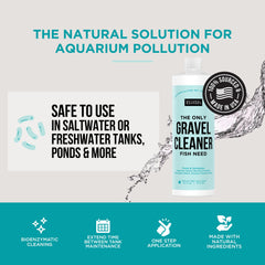 natural rapport bactéries bénéfiques dans l'eau, soutien naturel à l'écosystème aquatique.