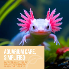 Natural Rapport Conditionneur Aquarium: versement facile pour démarrer rapidement le bac