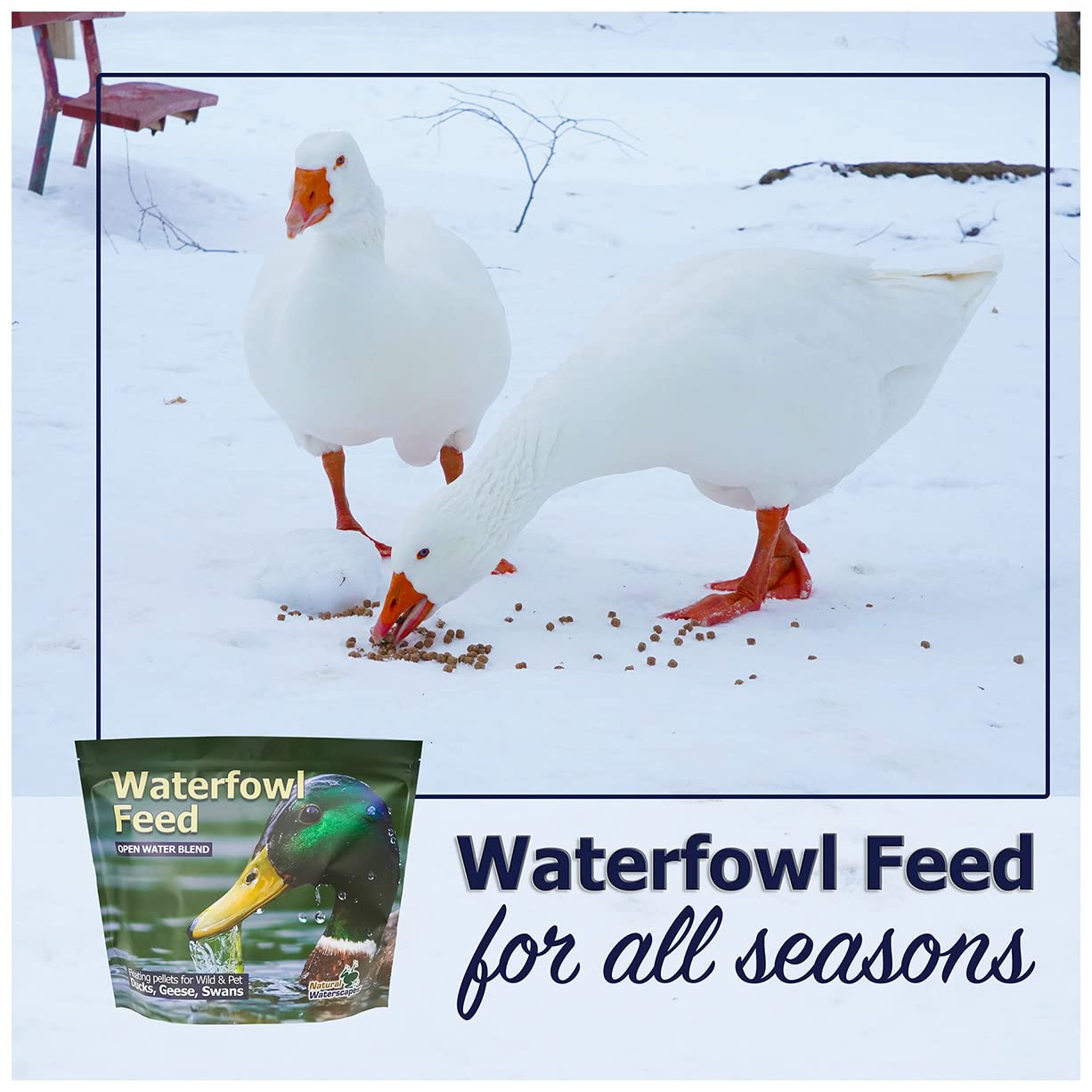 Natural Waterscapes présentation des pellets dans bol, distribution simple et propre