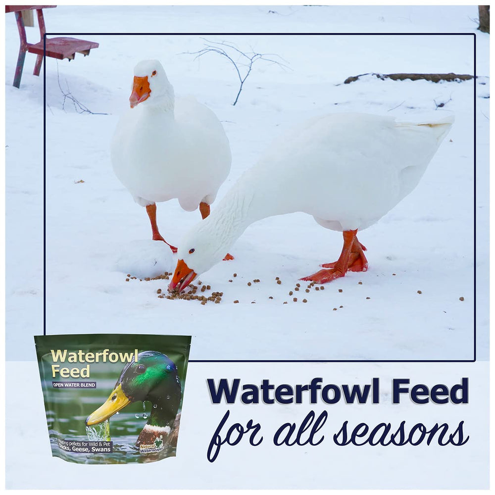 Natural Waterscapes présentation des pellets dans bol, distribution simple et propre