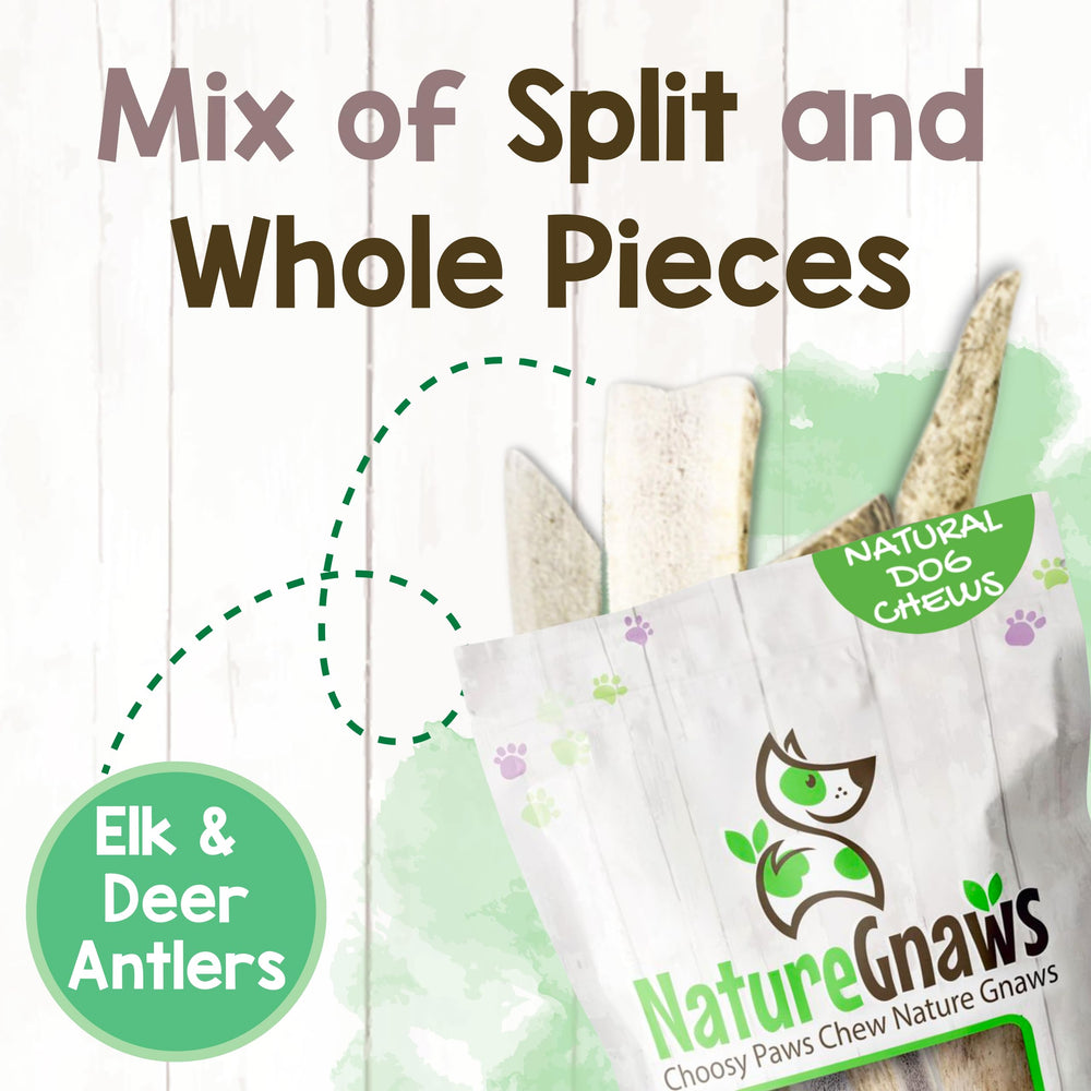 Nature Gnaws cornes de cerf – parfum naturel et saveur apprécié par les chiens