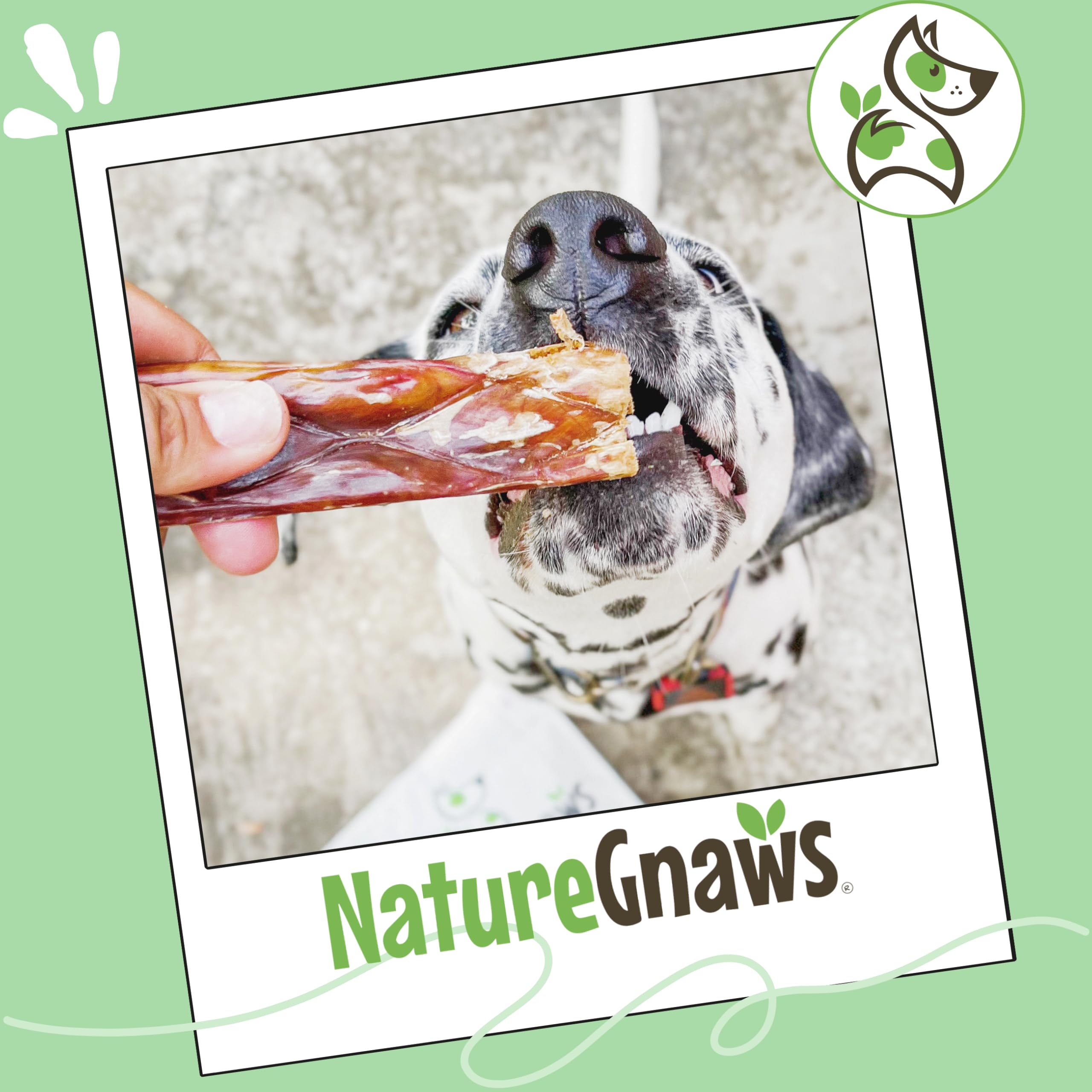 Arôme et goût de bœuf appétissants pour les chiens.