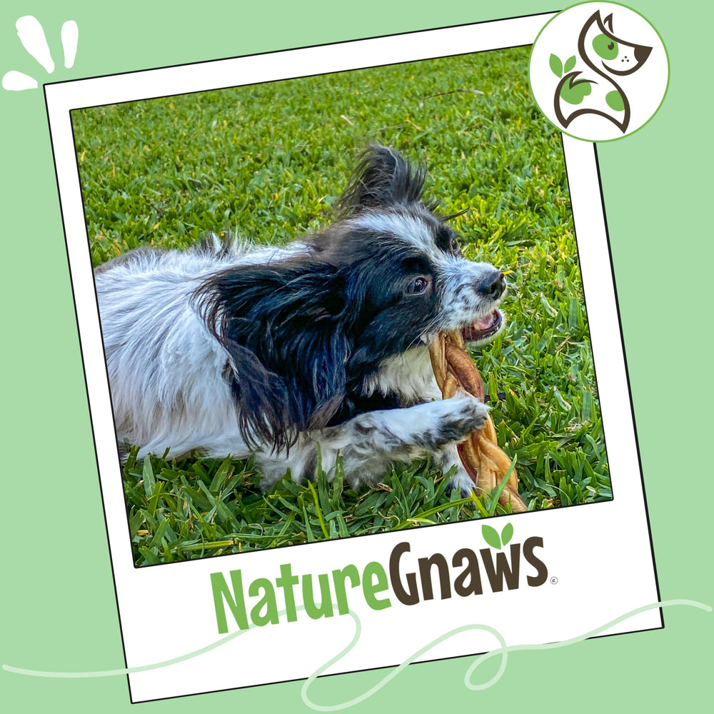 Nature Gnaws avantage sans cuir – option naturelle pour mastication.