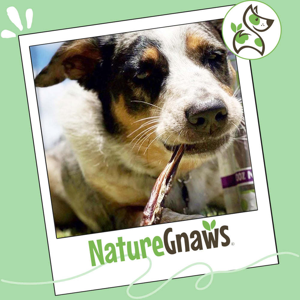 Nature Gnaws saveur bacon naturelle qui stimule l'envie de mâcher.