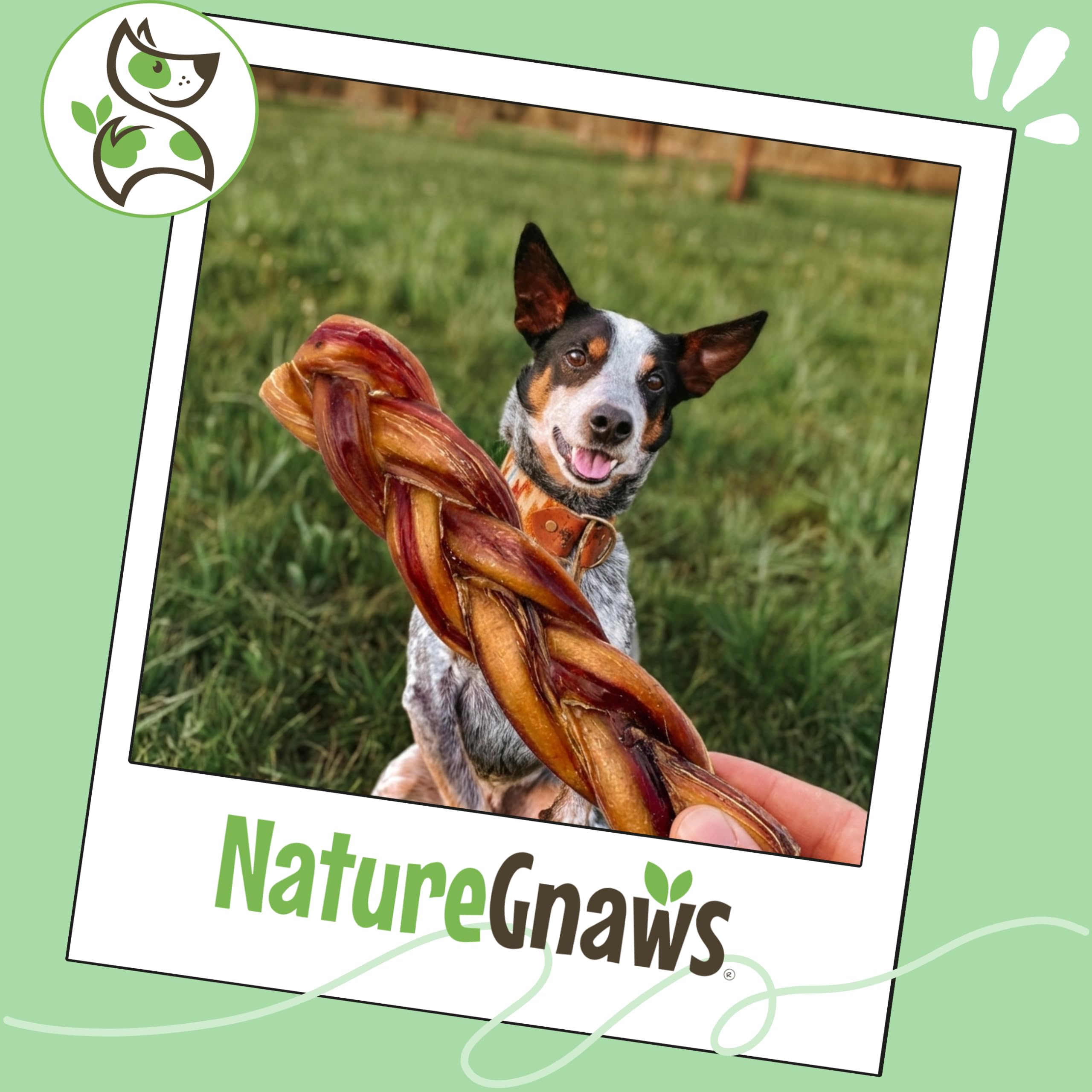 Nature Gnaws alternative sans cuir – bâton tressé idéal pour chiens qui aiment mâcher.