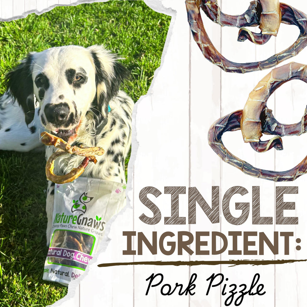 Chien gourmand savourant baton-porc-bretzels, saveur bacon.
