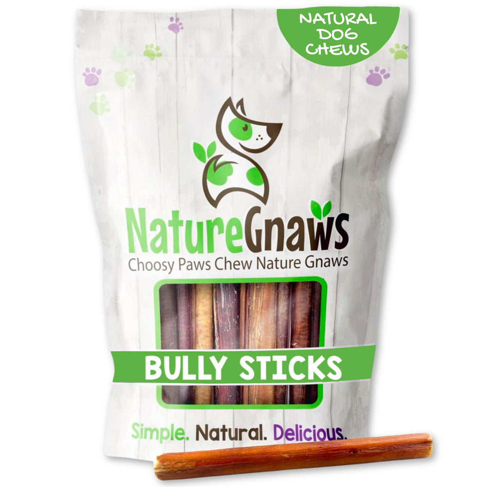 Nature Gnaws batonnet boeuf fin petit chien—mordant et calme pendant le jeu.