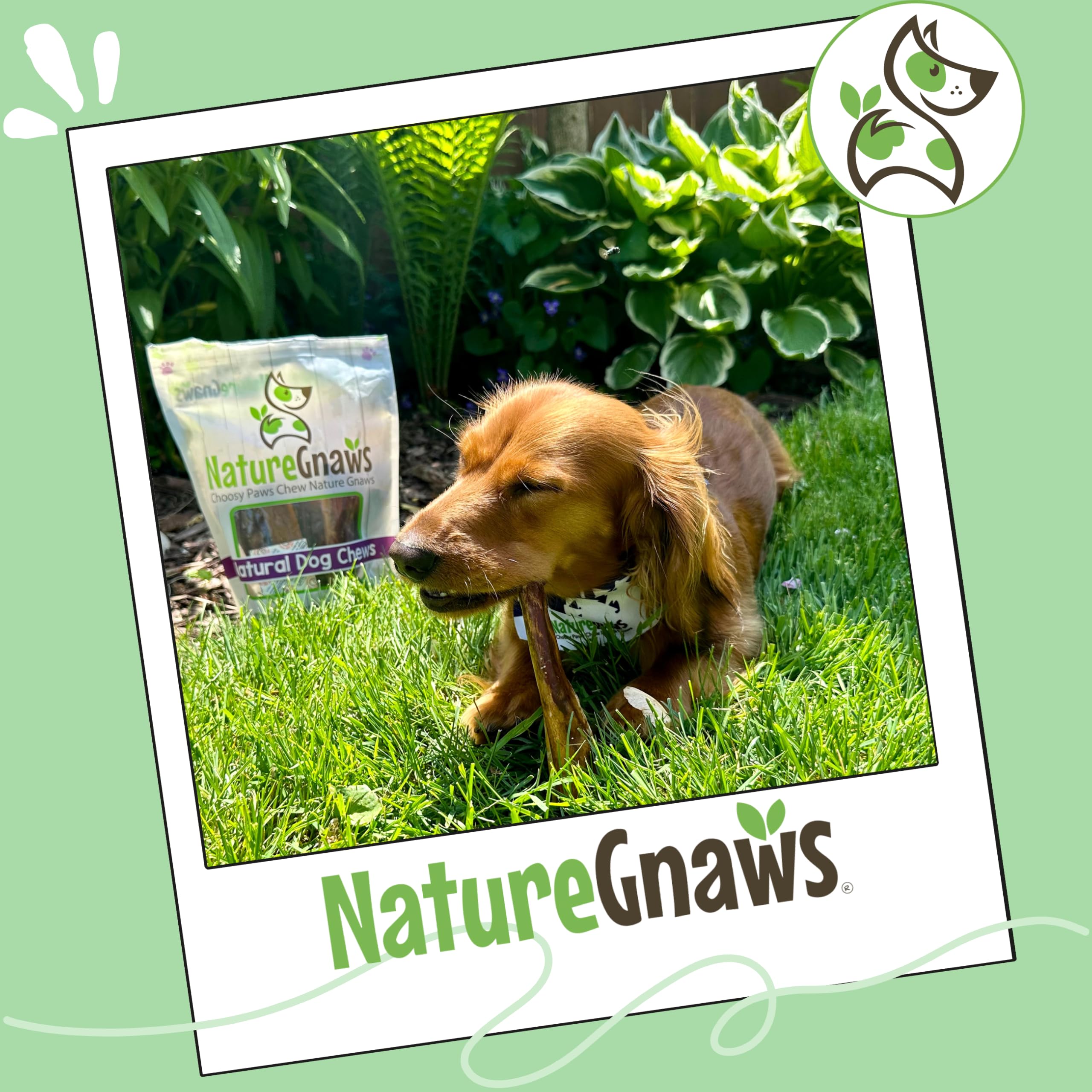 Nature Gnaws batonnet boeuf fin petit chien—parfait pour chiots et chiens calmes.