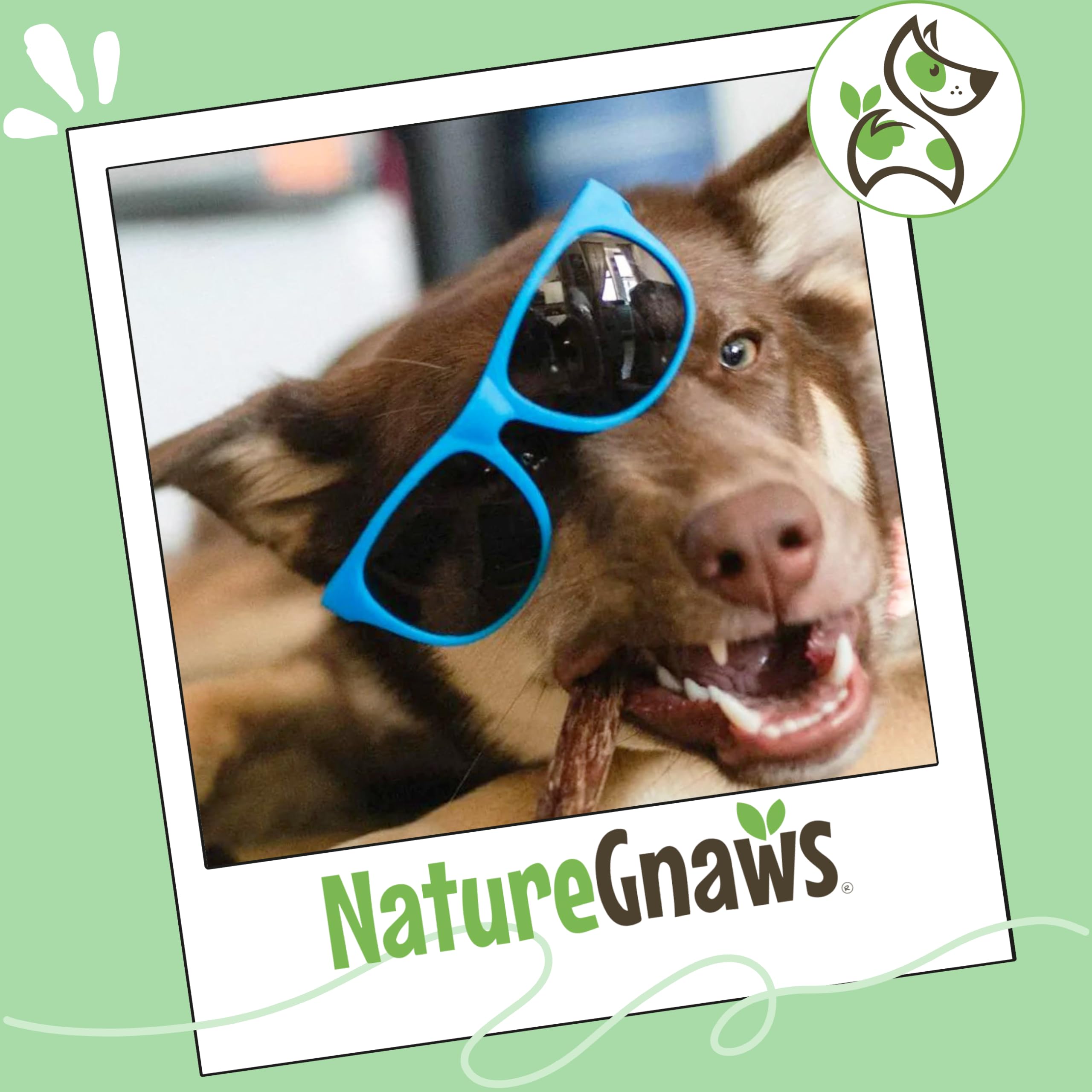 Bâtonnets goulet-boeuf Nature Gnaws sans gluten pour chien sensible.