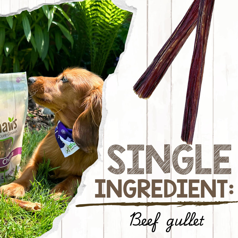 Bâtonnets goulet-boeuf Nature Gnaws, snack parfait pour chiots en dentition.