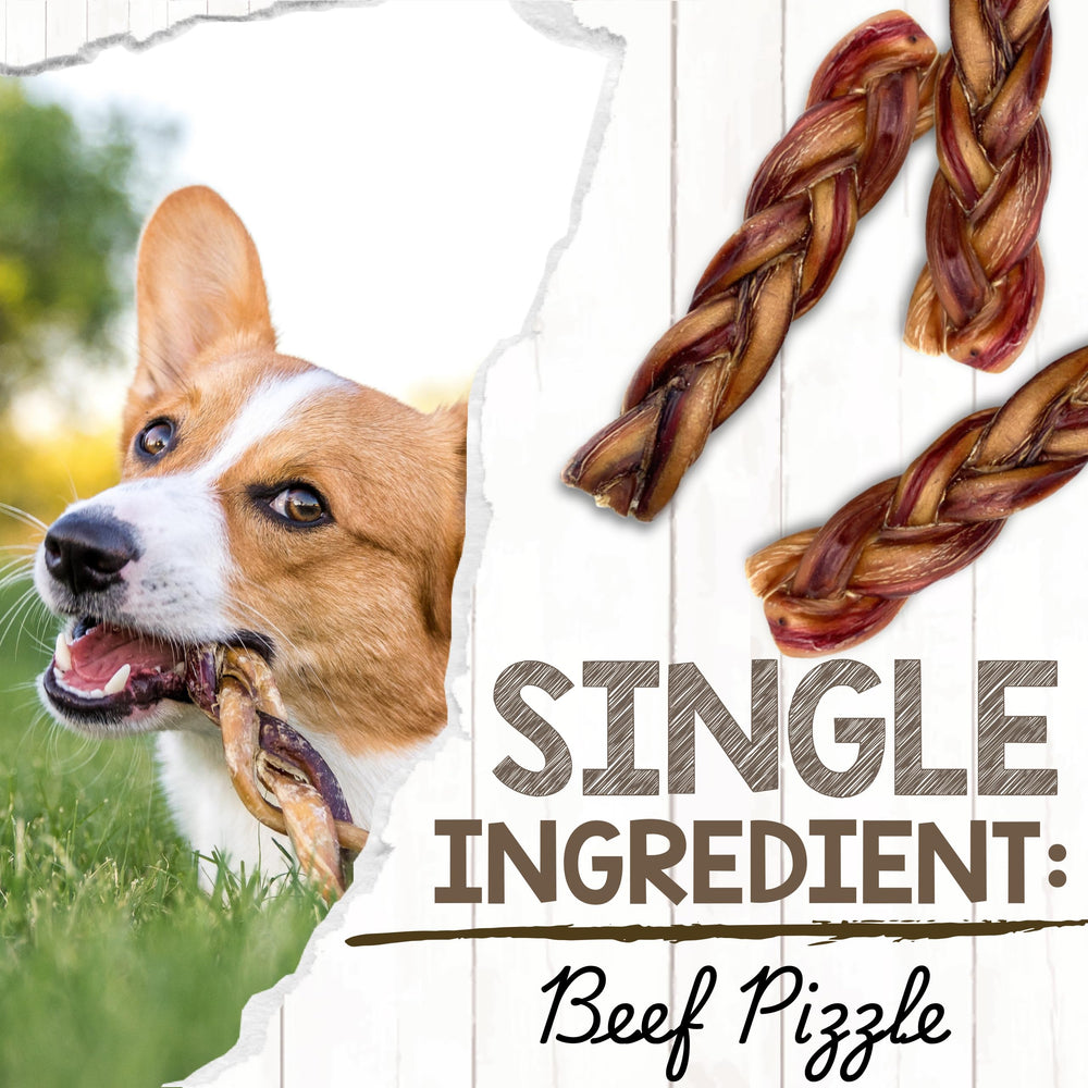 Nature Gnaws bâtonnets tressés longueur 5-6 pouces pour chiens moyens.