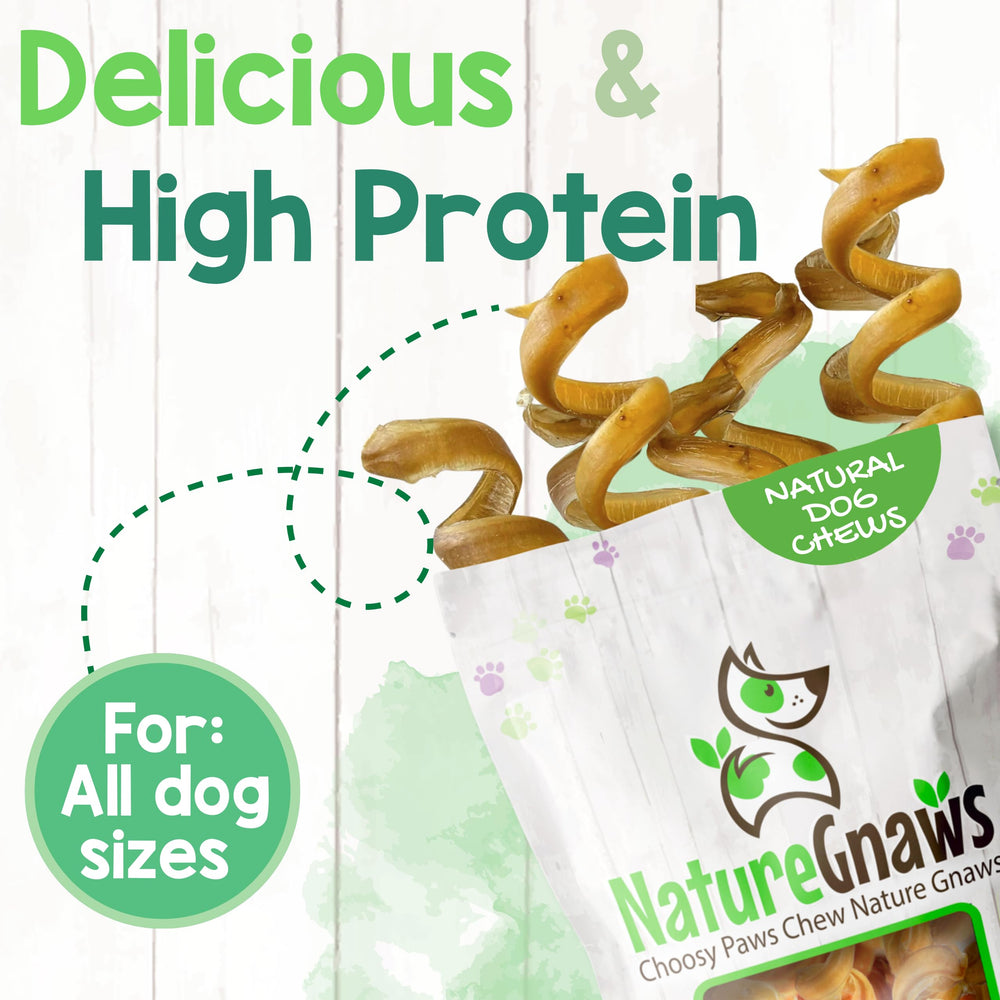 Nature Gnaws Bully Springs offre une durée de mastication longue pour les chiens passionnés