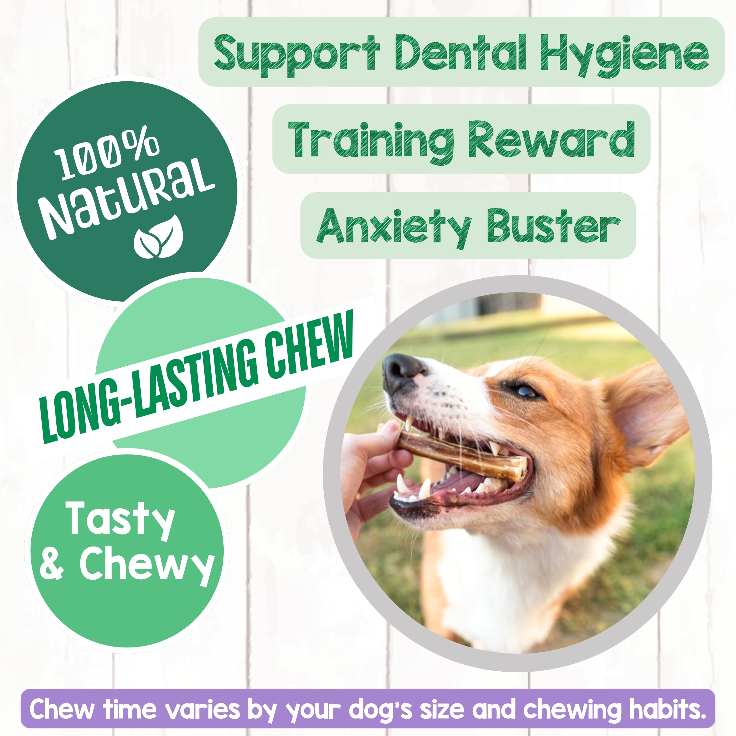 Nature Gnaws Bully Stick au parfum naturel, favorise l’acceptation lors des séances.