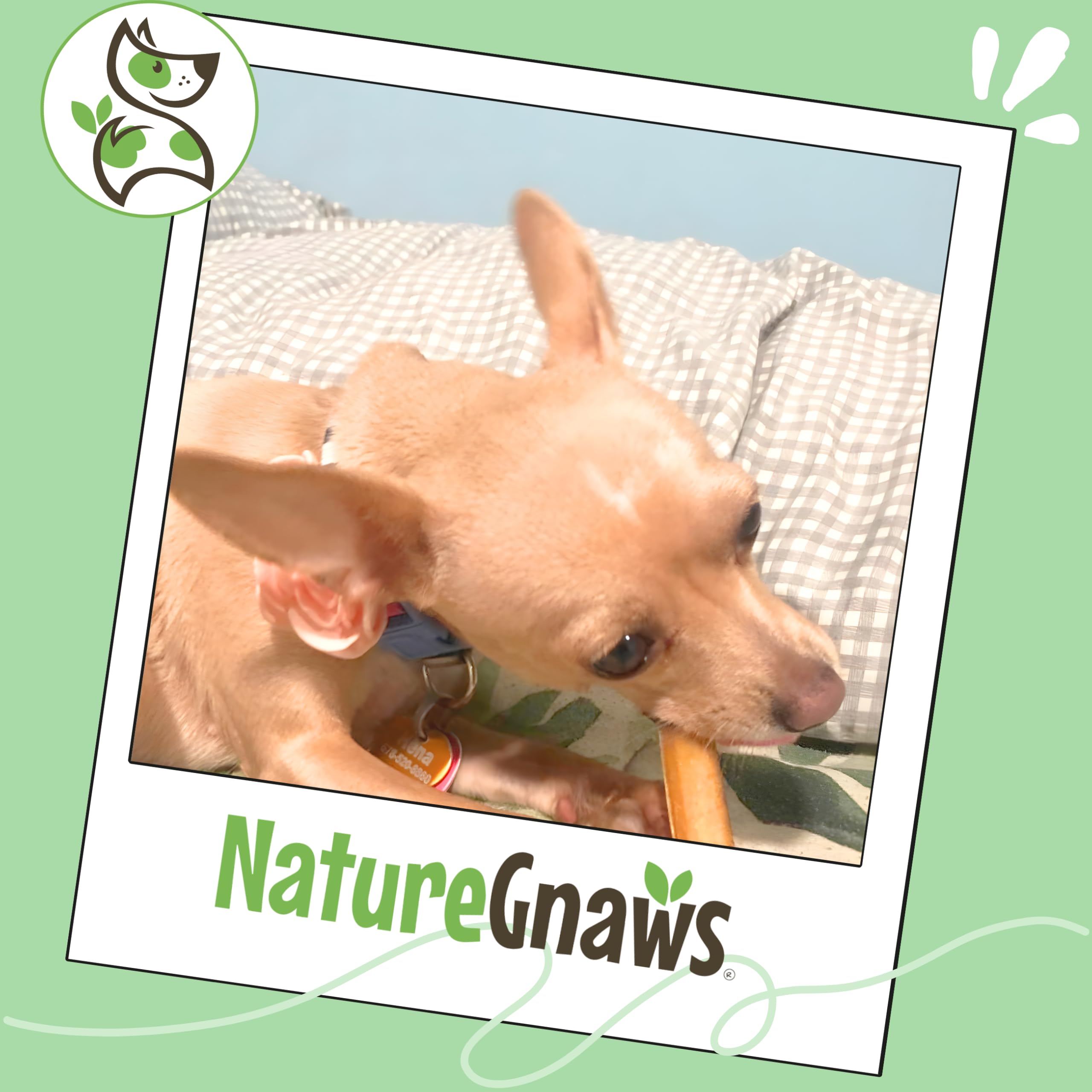 Nature Gnaws Bully Stick Bites texture savoureuse pour récompenser et occuper.