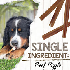 Nature Gnaws Bully Sticks 5-6 pouces – sans additifs, alternative naturelle pour chiens.