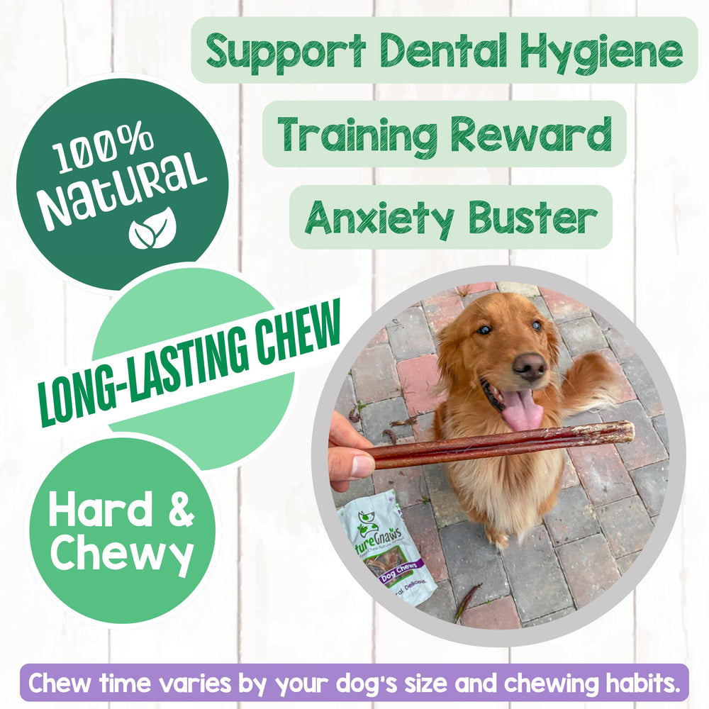 Nature Gnaws Bully Sticks – texture épaisse et savoureuse pour chiens actifs.
