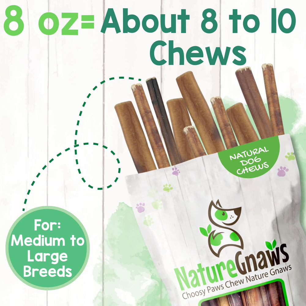 Bully Sticks Nature Gnaws sans cuir traité, choix pratique et naturel.