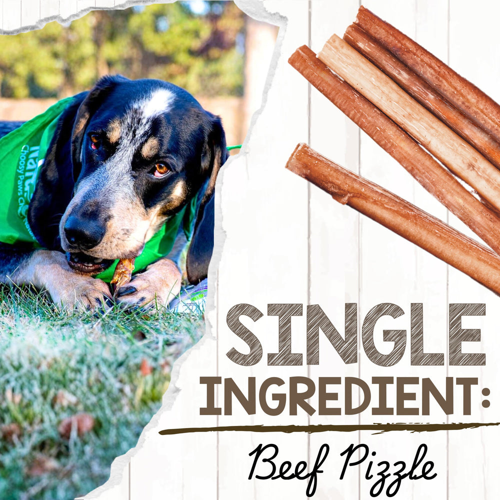 Friandise Nature Gnaws Bully Sticks sans odeur, option agréable pour animaux sensibles.