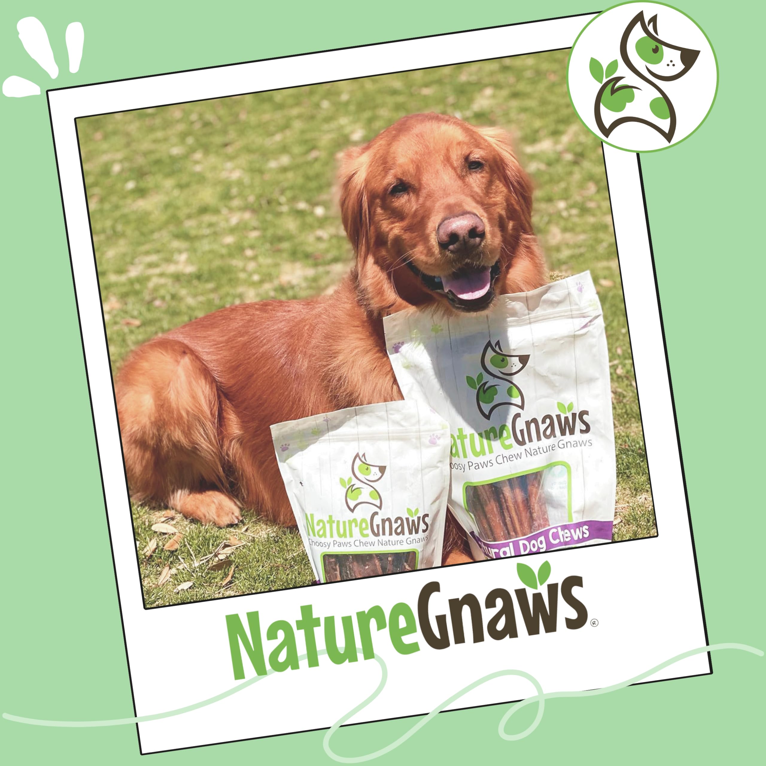 Nature Gnaws Bully Sticks – sans cuir brut, alternative saine.