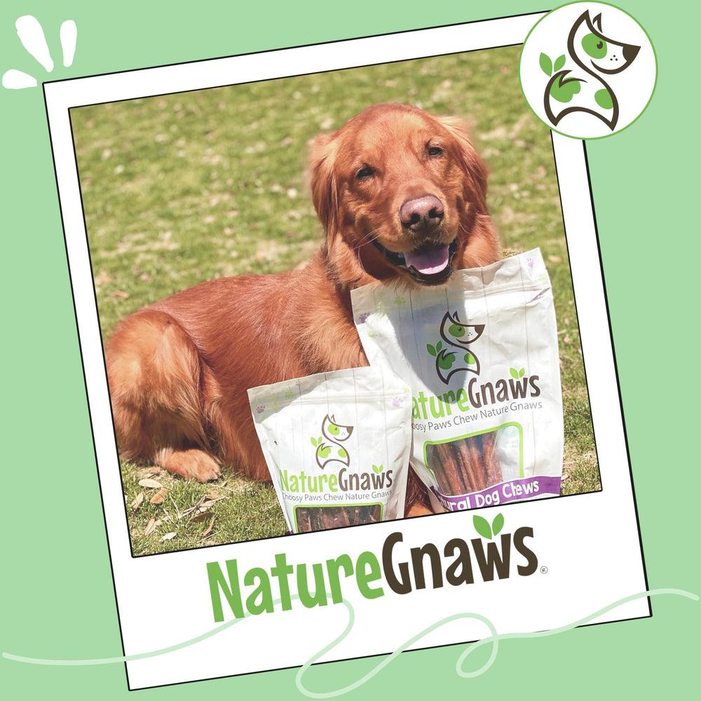Nature Gnaws Bully Sticks – sans cuir brut, alternative saine.