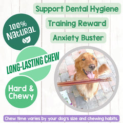 Bâtons Nature Gnaws sans cuir brut, alternative naturelle pour chiens.