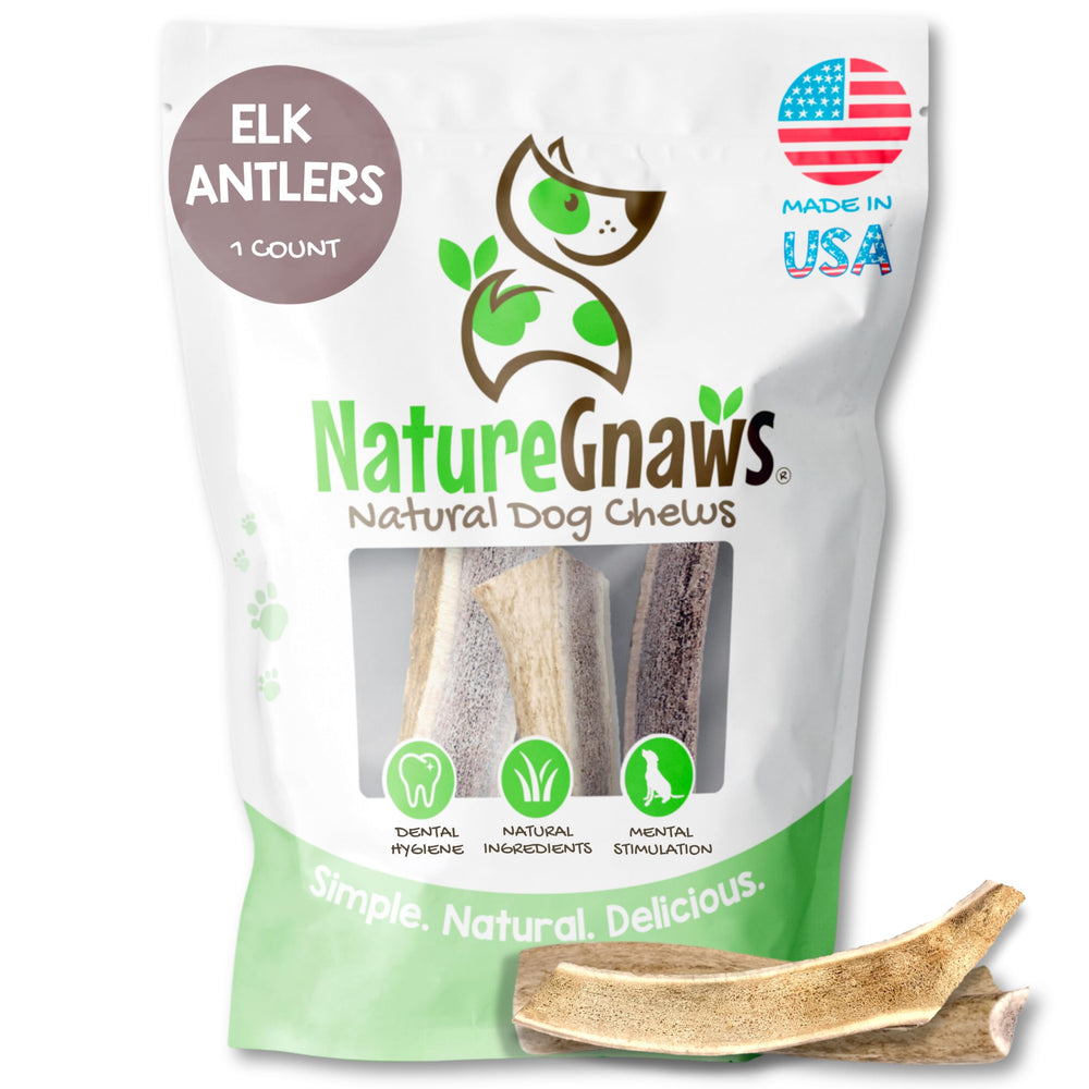Nature Gnaws Cornes d’élan américaines pour chiens, 5-8 po, mastication durable.